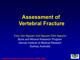 Assessment of Vertebral Fracture Tuan Van Nguyen and Nguyen Dinh Nguyen Bone and Mineral Research Program Garvan Institute of Medical Reseach Sydney, Australia  Vietnam Osteoporosis Workshop,