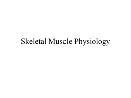 Skeletal Muscle Physiology Muscular System Functions • Body movement (Locomotion) • Maintenance of posture • Respiration – Diaphragm and intercostal contractions  • Communication (Verbal and.