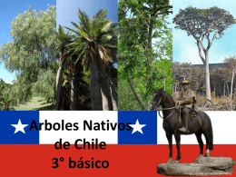 Arboles Nativos de Chile 3° básico  Imagen en wikipedia.com (Bandalo) Soy el huaso Matías y he recorrido todo Chile. En mis viajes he descubierto que hay muchos.