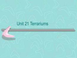 Unit 21 Terrariums What is a Terrarium? • It is a container that usually is covered in which plants are grown in. •