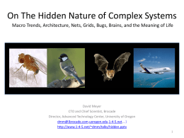 On The Hidden Nature of Complex Systems Macro Trends, Architecture, Nets, Grids, Bugs, Brains, and the Meaning of Life  David Meyer CTO and.