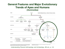 General Features and Major Evolutionary Trends of Apes and Humans (Hominoidea)  Understanding Physical Anthropology and Archaeology, 8th ed., p.