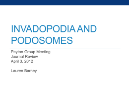 INVADOPODIA AND PODOSOMES Peyton Group Meeting Journal Review April 3, 2012 Lauren Barney Migration • Migration is a very important  process in vivo • Necessary for immune responses, wound.