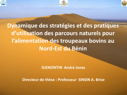 Dynamique des stratégies et des pratiques d’utilisation des parcours naturels pour l’alimentation des troupeaux bovins au Nord-Est du Bénin DJENONTIN André Jonas  Directeur de thèse.