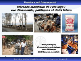 Marchés mondiaux de l'élevage : vue d'ensemble, politiques et défis futurs  Nancy Morgan, Économiste spécialisée dans l'élevage FAO/Banque mondiale.