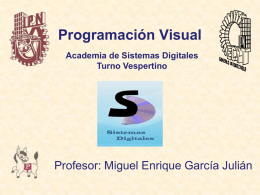 Programación Visual Academia de Sistemas Digitales Turno Vespertino  Profesor: Miguel Enrique García Julián.