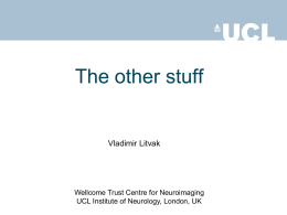 The other stuff  Vladimir Litvak  Wellcome Trust Centre for Neuroimaging UCL Institute of Neurology, London, UK.