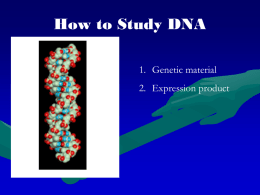 How to Study DNA 1. Genetic material 2. Expression product What is gene expression? The activation of a gene that results in a.