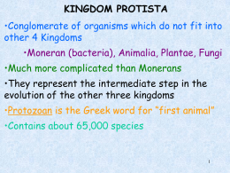 KINGDOM PROTISTA •Conglomerate of organisms which do not fit into other 4 Kingdoms  •Moneran (bacteria), Animalia, Plantae, Fungi •Much more complicated than Monerans •They represent.