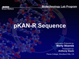 Biotechnology Lab Program Bruce Wallace  pKAN-R Sequence Laboratory Protocols by:  Marty Ikkanda Powerpoint by:  Anthony Daulo Pierce College, Woodland Hills, CA V.1.2.5