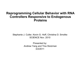 Reprogramming Cellular Behavior with RNA Controllers Responsive to Endogenous Proteins  Stephanie J. Culler, Kevin G.