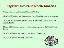 Oyster Culture in North America •SRAC 0432 The Cultivation of American Oysters •SRAC 0433 Biology and Culture of the Hard Clam (Mercenaria.