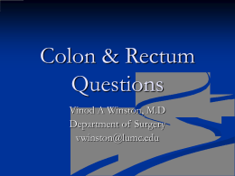 Colon & Rectum Questions Vinod A Winston, M.D Department of Surgery vwinston@lumc.edu Question: Which of the following is/are the most common causes of massive colonic bleeding? A.  B. C. D.  E.  Cancer Ulcerative.