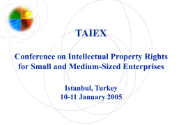 TAIEX Conference on Intellectual Property Rights for Small and Medium-Sized Enterprises Istanbul, Turkey 10-11 January 2005