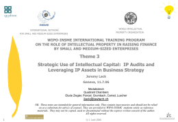 WORLD INTELLECTUAL  INTERNATIONAL NETWORK  PROPERTY ORGANIZATION  FOR SMALL AND MEDIUM-SIZED ENTERPRISES  WIPO-INSME INTERNATIONAL TRAINING PROGRAM ON THE ROLE OF INTELLECTUAL PROPERTY IN RAISING FINANCE BY SMALL.
