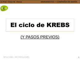 © Prof. Víctor M. Vitoria  MARIANISTAS + COMPAÑÍA DE MARÍA  El ciclo de KREBS (Y PASOS PREVIOS)  BIOLOGÍA - METABOLISMO.