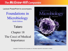 Lecture PowerPoint to accompany  Foundations in Microbiology Sixth Edition  Talaro Chapter 18 The Cocci of Medical Importance Copyright © The McGraw-Hill Companies, Inc.