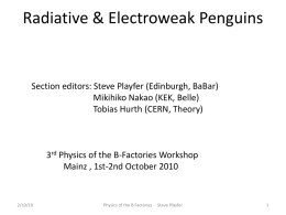 Radiative & Electroweak Penguins M -  Section editors: Steve Playfer (Edinburgh, BaBar) Mikihiko Nakao (KEK, Belle) Tobias Hurth (CERN, Theory)  3rd Physics of the B-Factories Workshop Mainz.