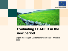 Evaluating LEADER in the new period Expert meeting on Guidance for the CMEF - October.
