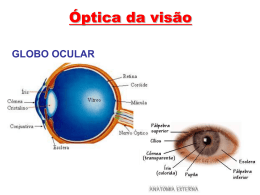 Óptica da visão GLOBO OCULAR Esclerótica: membrana dura, rígida, opaca, que recobre quase a totalidade do olho. Retina: parte sensível à luz, em.