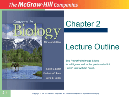 Chapter 2 Lecture Outline See PowerPoint Image Slides for all figures and tables pre-inserted into PowerPoint without notes.  2-1  Copyright © The McGraw-Hill Companies, Inc.