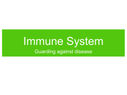 Immune System Guarding against disease • You wake up one morning with a stuffy nose, slight fever, and fatigue.