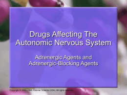 Drugs Affecting The Autonomic Nervous System Adrenergic Agents and Adrenergic-Blocking Agents  Copyright © 2002, 1998, Elsevier Science (USA).