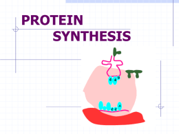 PROTEIN SYNTHESIS Protein synthesis Aspects of protein synthesis Mechanism of protein synthesis (Prokaryotic) Initiation in eukaryotes  Translational control and posttranslational events.