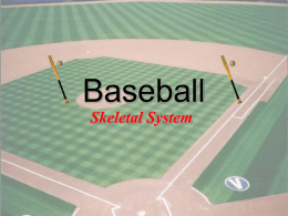 Baseball Skeletal System • Identify area labeled #10? – Answer: Frontal • Identify area labeled #9? – Answer: Manubrium.