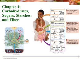 Chapter 4: Carbohydrates, Sugars, Starches and Fiber  © 2010 Pearson Education, Inc. What Are Carbohydrates?   Produced by plants during photosynthesis    After eating plant foods, humans convert.