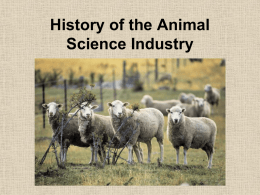 History of the Animal Science Industry Early Domestication • Humans began domesticating animals more than 10,000 years ago beginning with dogs. • Ruminants (cattle,