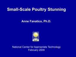 Small-Scale Poultry Stunning Anne Fanatico, Ph.D.  National Center for Appropriate Technology February 2009