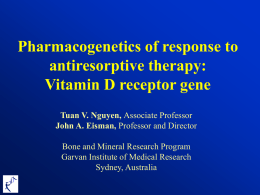 Pharmacogenetics of response to antiresorptive therapy: Vitamin D receptor gene Tuan V. Nguyen, Associate Professor John A.
