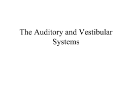 The Auditory and Vestibular Systems I. Functional Anatomy of the 2 Systems - Overview A.