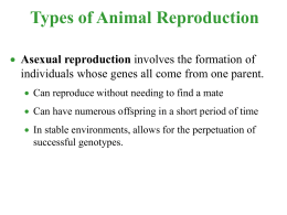 Types of Animal Reproduction  Asexual reproduction involves the formation of individuals whose genes all come from one parent.  Can reproduce without.