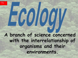 Clip  A branch of science concerned with the interrelationship of organisms and their environments.