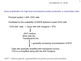 Last updated Nov. 22, 1:00 AM  Gene amplification for high level recombinant protein production in mammalian cells. Principal system = dhfr- CHO.