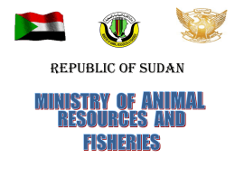 REPUBLIC OF SUDAN SUDAN Sudan is the largest country in Africa, bordering Red Sea ,Egypt, Libya, Chad, Central African , Zaier, Uganda ,