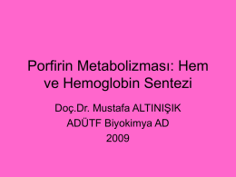Porfirin Metabolizması: Hem ve Hemoglobin Sentezi Doç.Dr. Mustafa ALTINIŞIK ADÜTF Biyokimya AD Porfirinler, porfirin halka sistemi içeren renkli maddelerdir Eritrositlerde bulunan ve kana kırmızı.