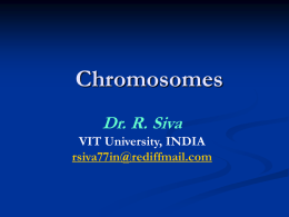 Chromosomes Dr. R. Siva VIT University, INDIA rsiva77in@rediffmail.com What Exactly is a chromosome? Chromosomes are the rod-shaped, filamentous bodies present in the nucleus, which become visible.