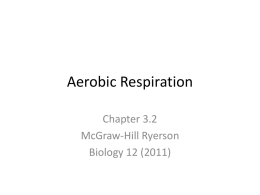 Aerobic Respiration Chapter 3.2 McGraw-Hill Ryerson Biology 12 (2011) Aerobic Respiration • Aerobic Respiration: catabolic pathways that require oxygen • Anaerobic respiration: catabolic pathways that exclude oxygen.
