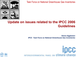Task Force on National Greenhouse Gas Inventories  Update on issues related to the IPCC 2006 Guidelines Simon Eggleston IPCC Task Force on National Greenhouse.