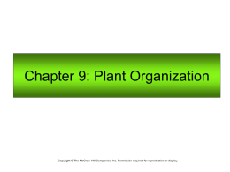 Chapter 9: Plant Organization  Copyright © The McGraw-Hill Companies, Inc. Permission required for reproduction or display.