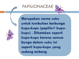 PAPILIONACEAE Merupakan nama suku untuk tumbuhan berbunga kupu-kupu (papillo= kupukupu) . Dikatakan seperti kupu-kupu karena semua bunga dalam suku ini seperti kupu-kupu yang sedang terbang.