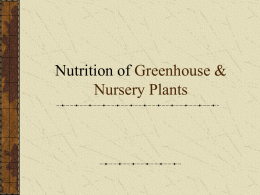 Nutrition of Greenhouse & Nursery Plants Nutrition We all eat Why? To survive What if we didn’t eat? Plants have the same needs as we do Fertilization.