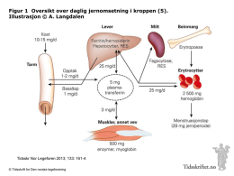 Figur 1 Oversikt over daglig jernomsetning i kroppen (5). Illustrasjon &copy; A.
