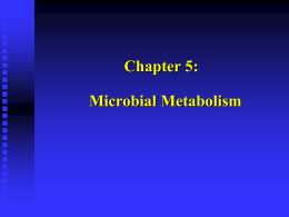 Chapter 5:  Microbial Metabolism Microbial Metabolism Metabolism refers to all chemical reactions that occur within a living a living organism. These chemical reactions are.