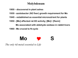 Molybdenum 1900 – discovered in plant ashes 1930 - azotobacter (N2 fixer) growth requirement for Mo  1940 – established as essential micronutrient for.