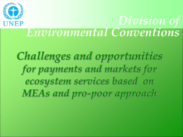 Division of Environmental Conventions Challenges and opportunities for payments and markets for ecosystem services based on MEAs and pro-poor approach.