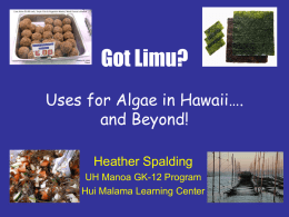 Got Limu? Uses for Algae in Hawaii…. and Beyond! Heather Spalding UH Manoa GK-12 Program Hui Malama Learning Center.